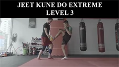 V311 - Jeet Kune Do Martial Arts - Level 3
