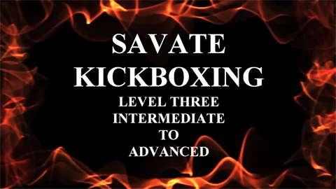 V553 - Savate Kickboxing Martial Arts - Level 3