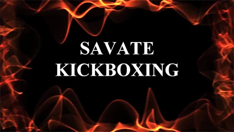 V551 - Savate Kickboxing Martial Arts - Level 1
