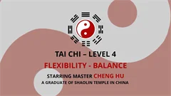 V904 - Tai Chi - Level 4