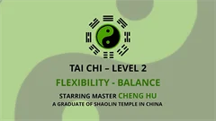 V902 - Tai Chi - Level 2