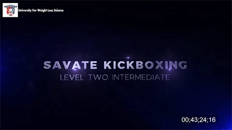 V552 - Savate Kickboxing Martial Arts - Level 2
